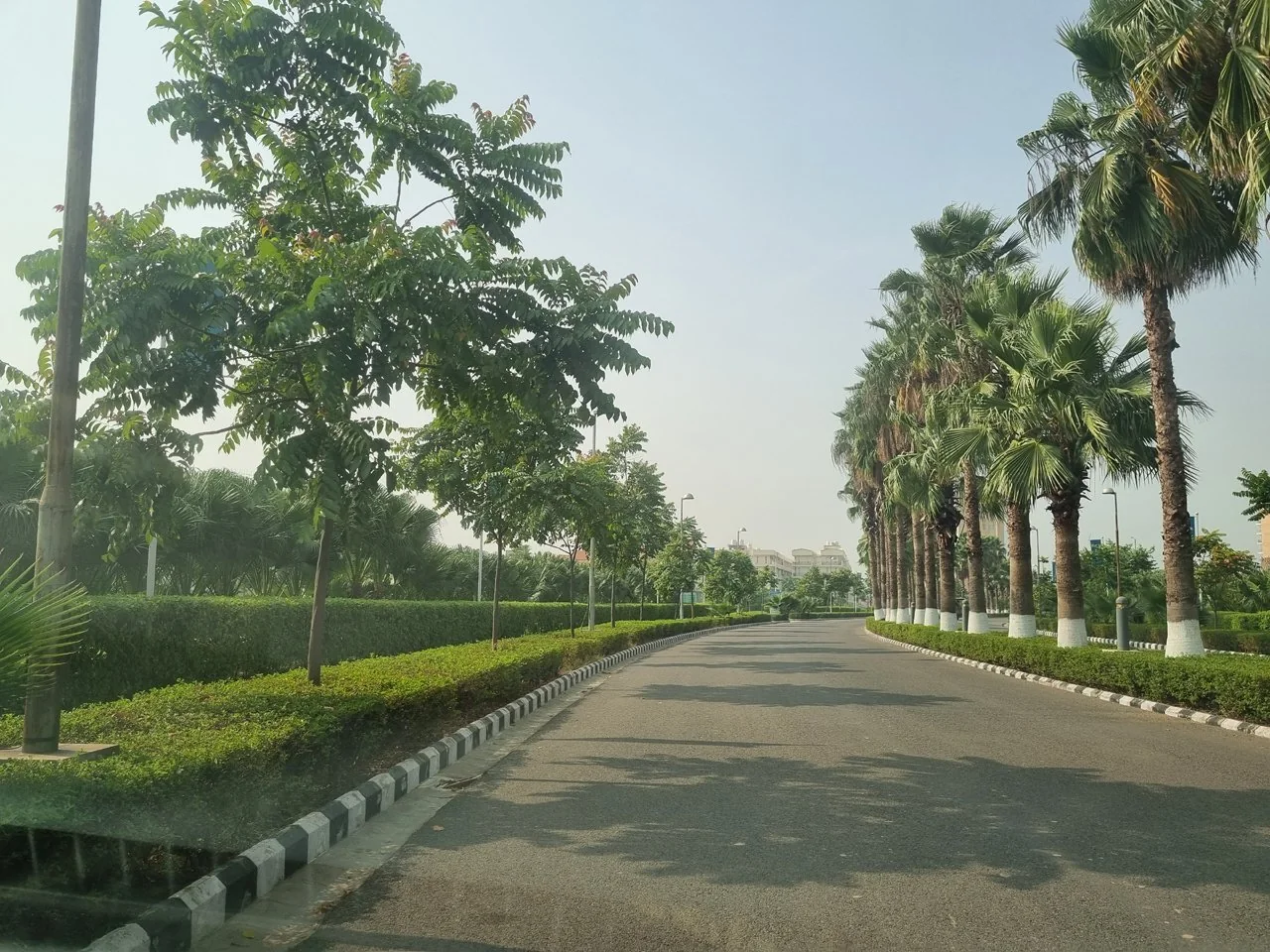 Wave Estate residential plot site view 10